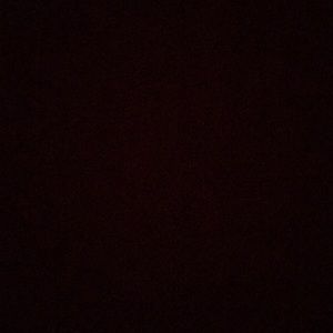 Meet your Posher, Abbie